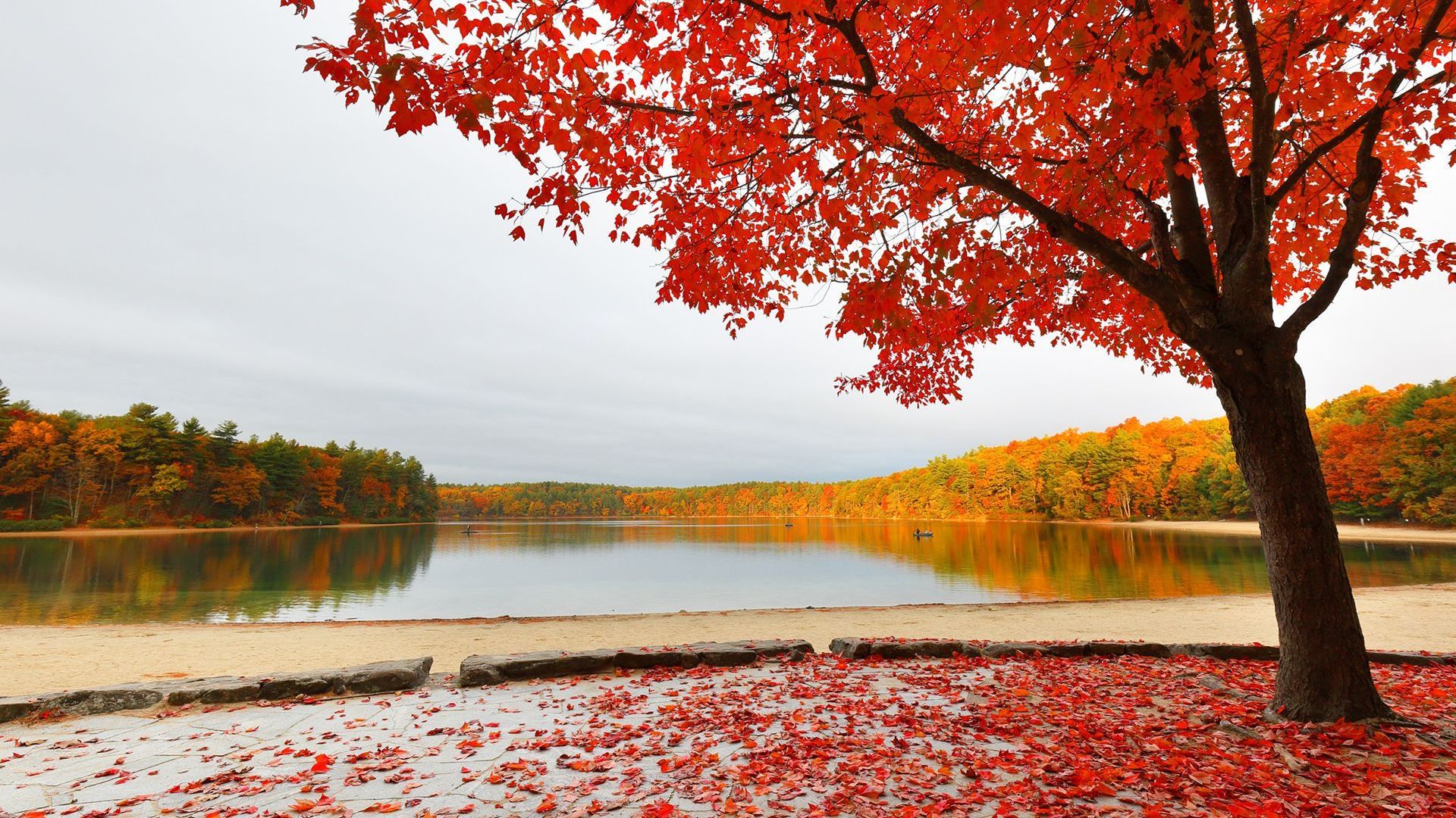 Grief Support Funeral Home And Cremations Providence UT