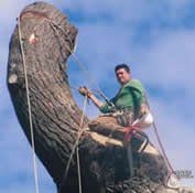 Man riding a large stone dinosaur sculpture against a blue sky
