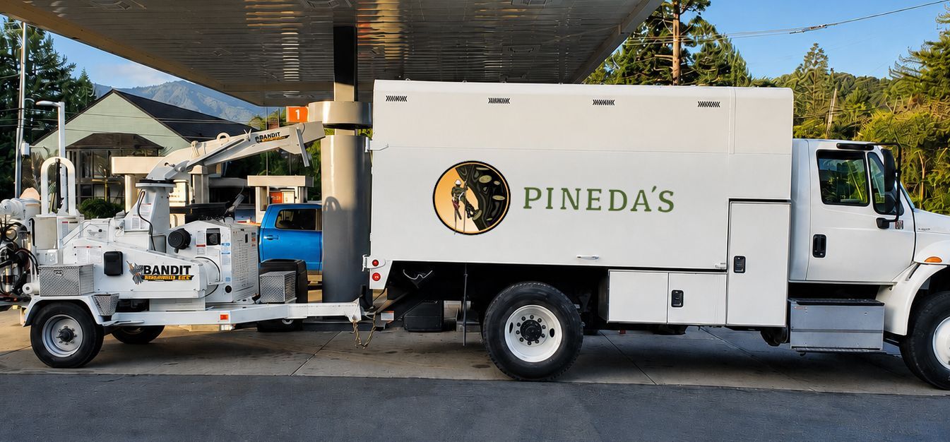 White Pineda’s food truck parked under a gas station canopy beside a small cart