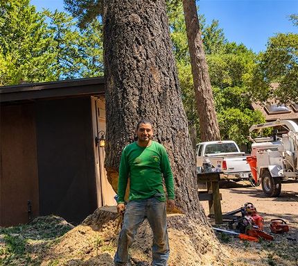 Worker in green shirt standing by a large tree trunk in a yard with trucks and equipment nearby.