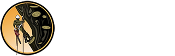Logo with a stylized archer in a gold circle and red text reading “PINEDA’S”