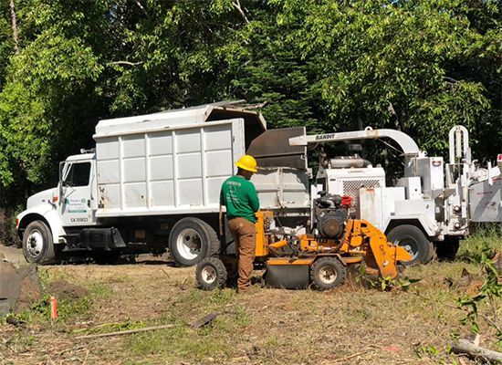 Worker operating orange equipment beside white utility trucks in a grassy field