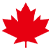 A red maple leaf on a white background.