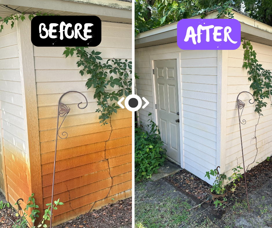House exterior in Ormond Beach soft-wash cleaning—lifting algae and grime without high pressure