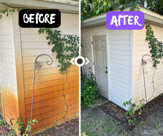 House exterior soft-wash cleaning—lifting algae and grime without high pressure