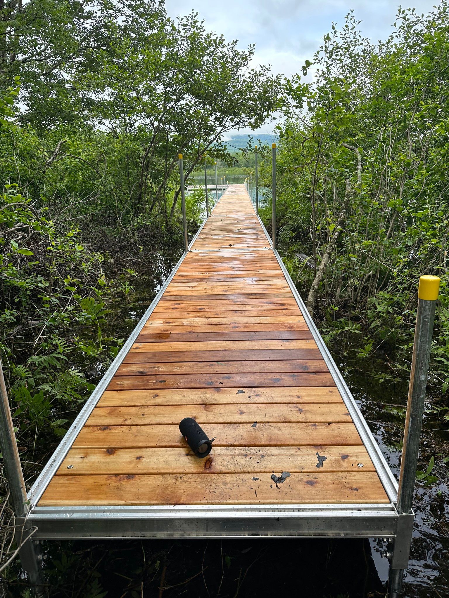Wooden boardwalk through dense greenery, leading toward a distant blue lake.