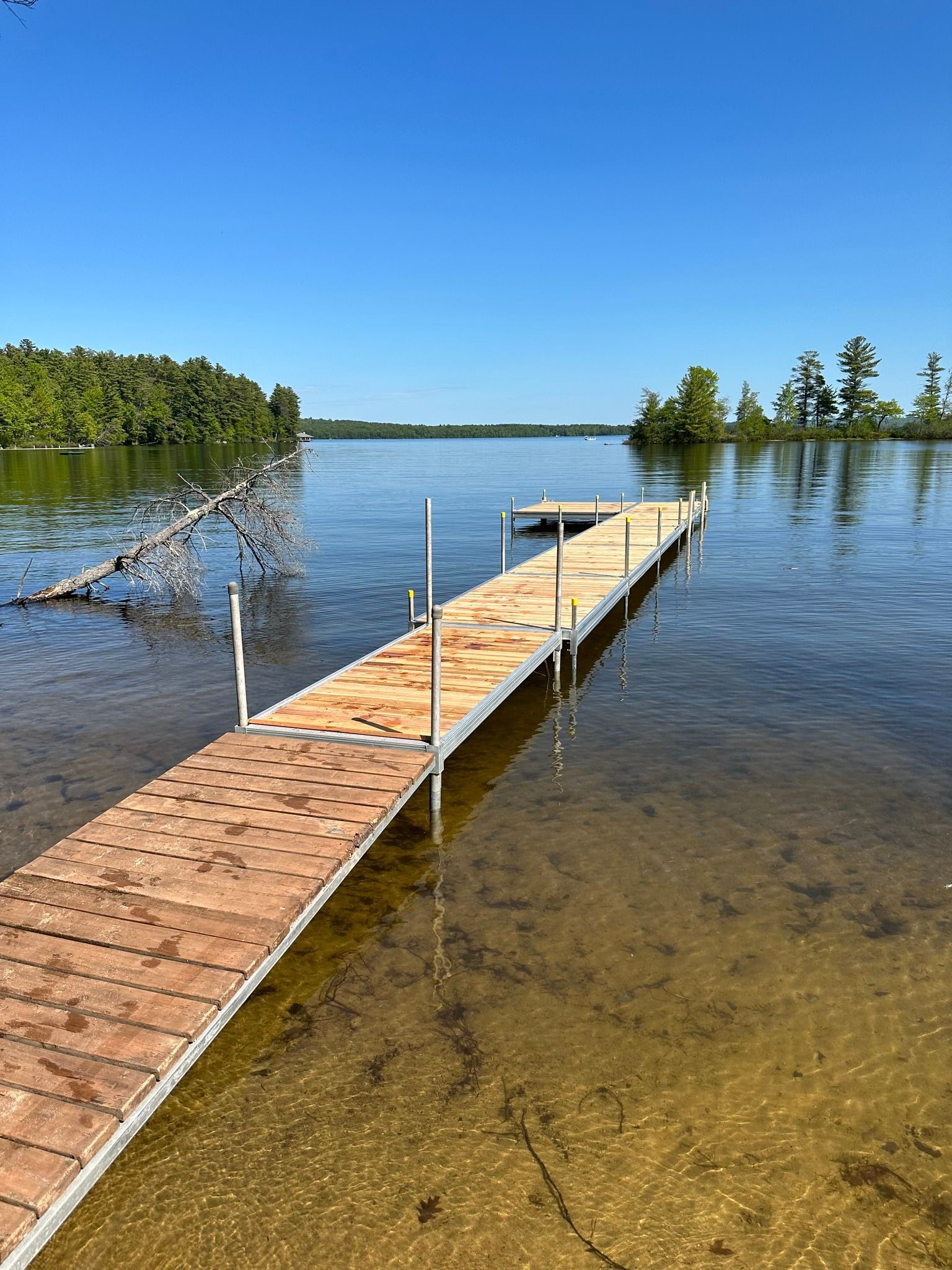 Wooden dock extending into a calm lake under a clear blue sky, with trees along the shore.