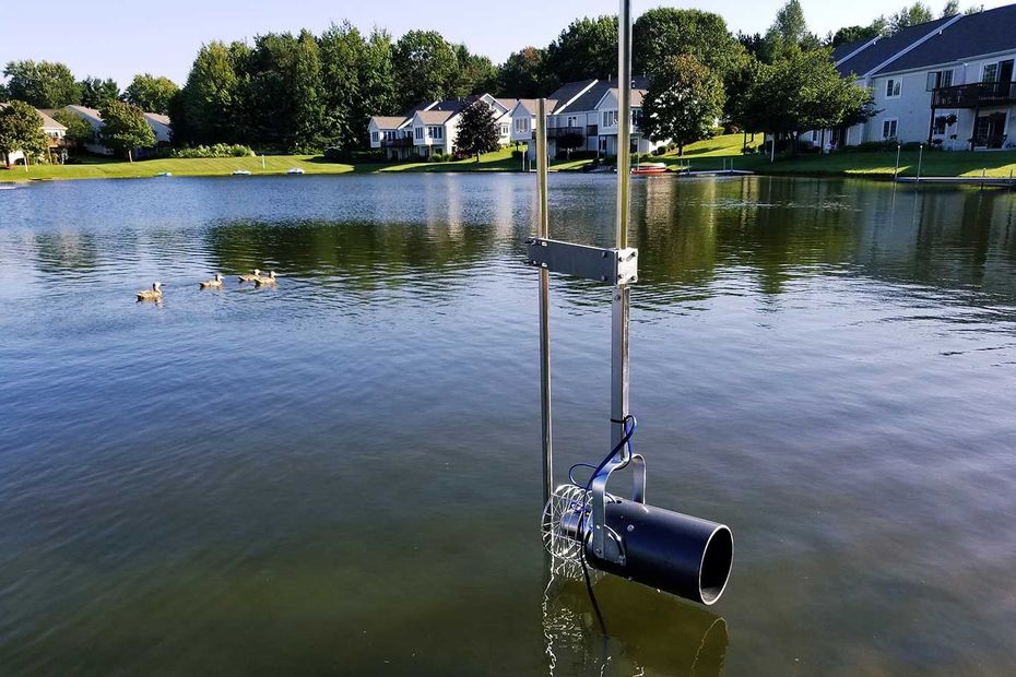 Floating water quality sensor in a calm lake near houses and trees on the shore