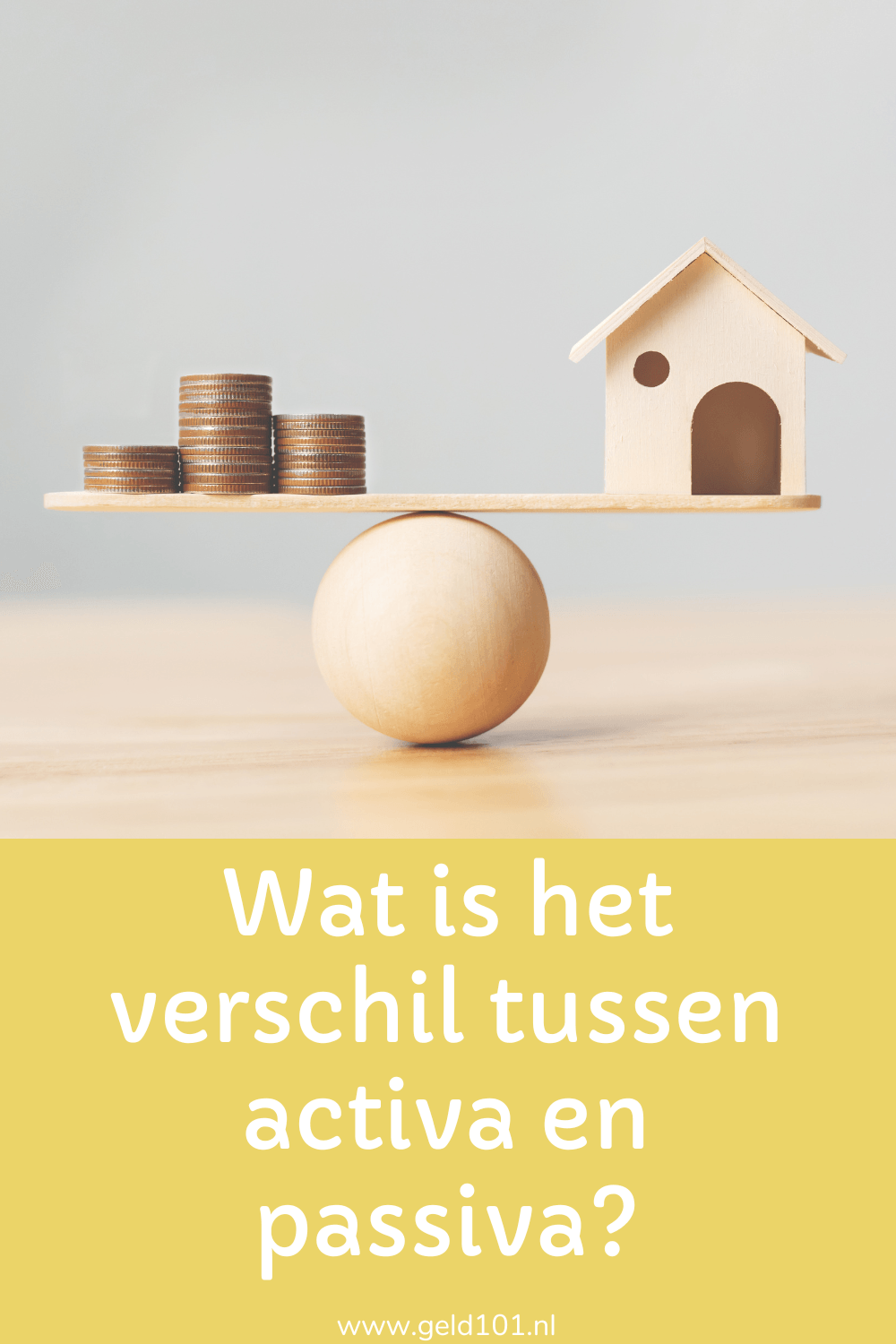 wat is het verschil tussen activa en passiva