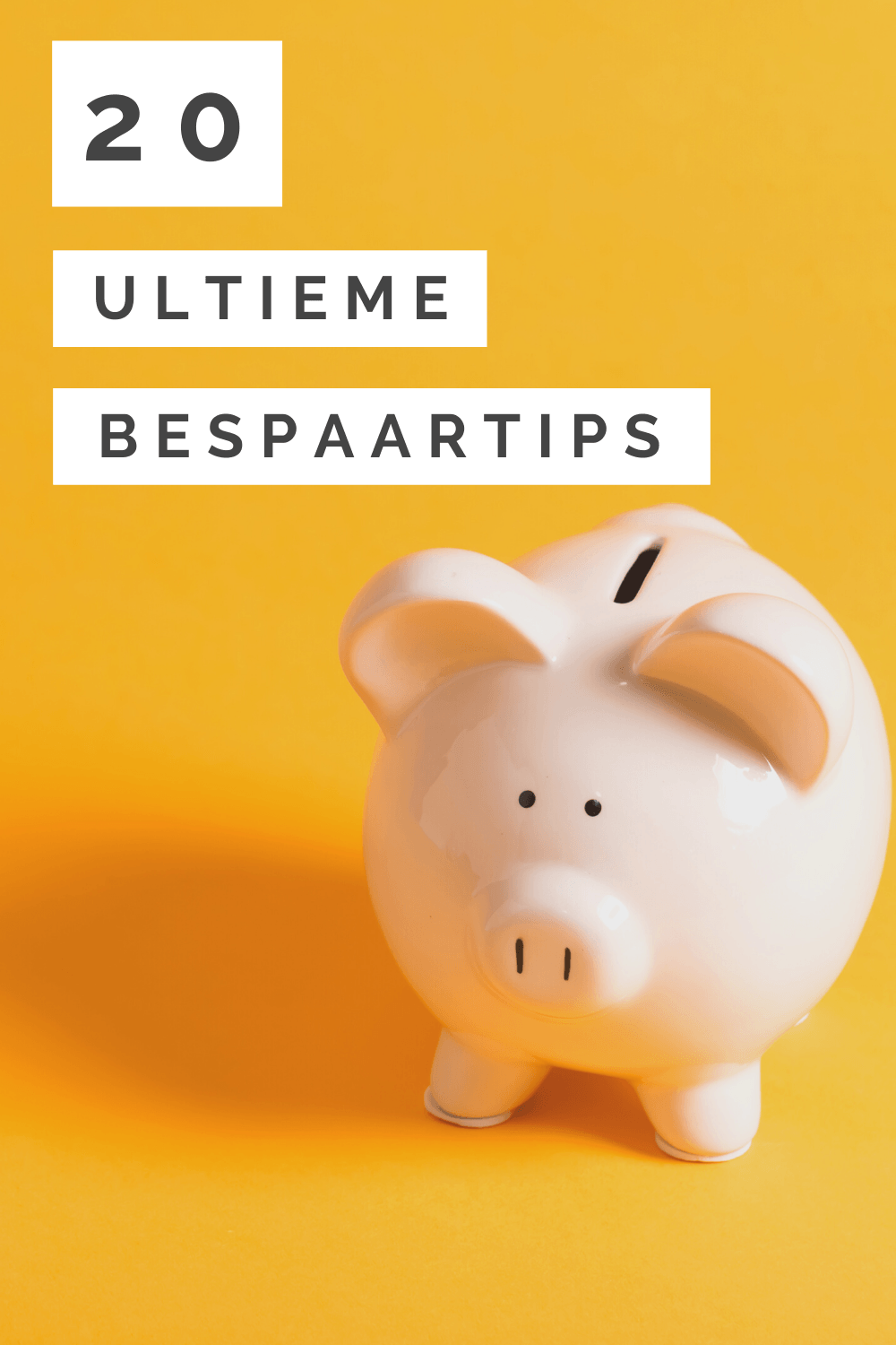 20 ultieme beste bespaartips