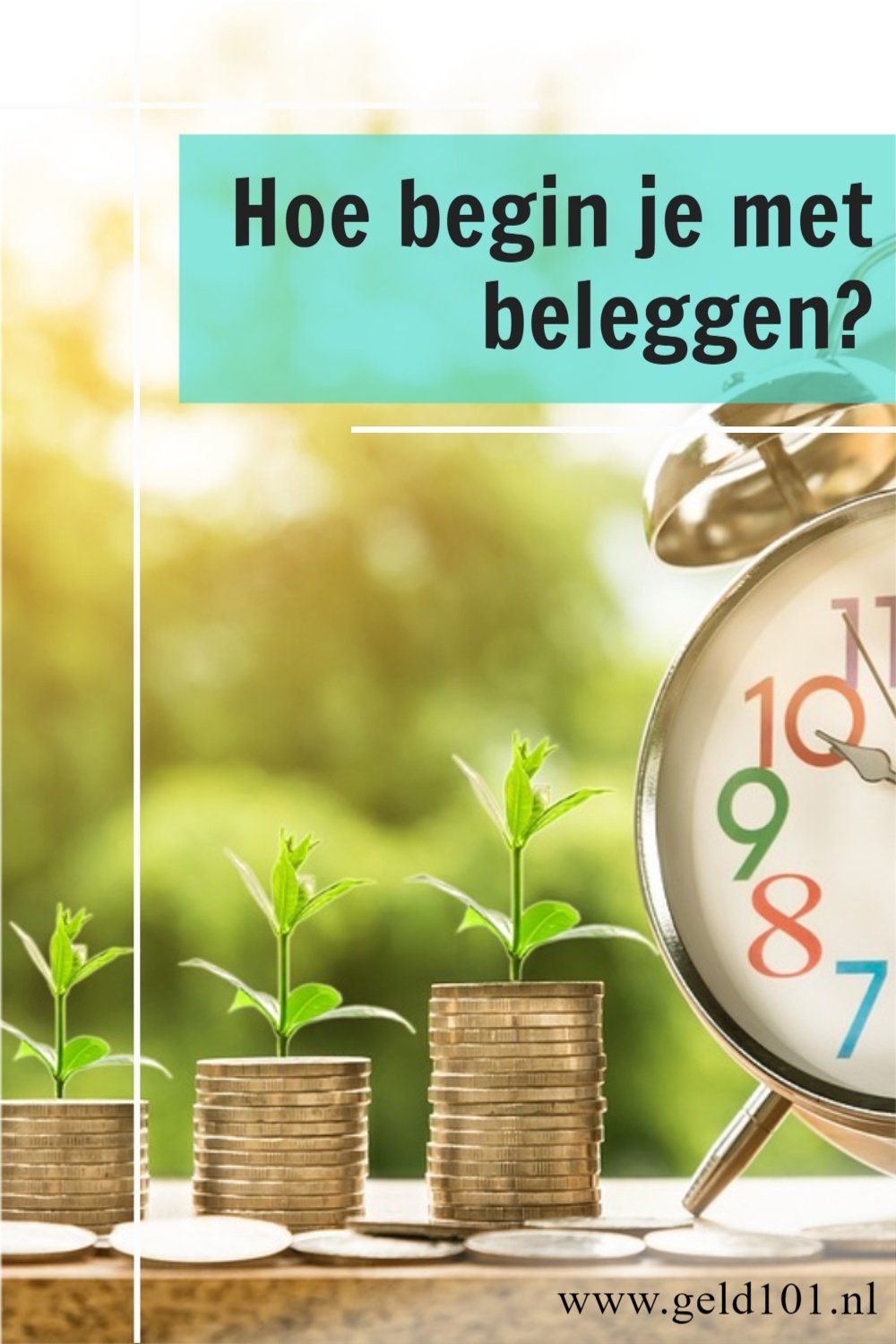 hoe begin je met beleggen beginners dummies