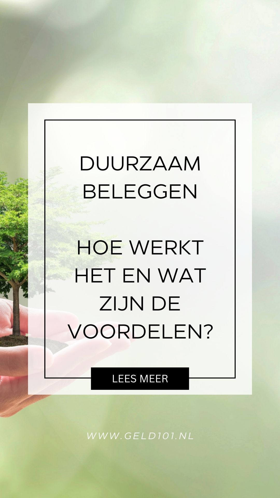 Duurzaam beleggen, wat houdt het in en waarom zou je ervoor kiezen?