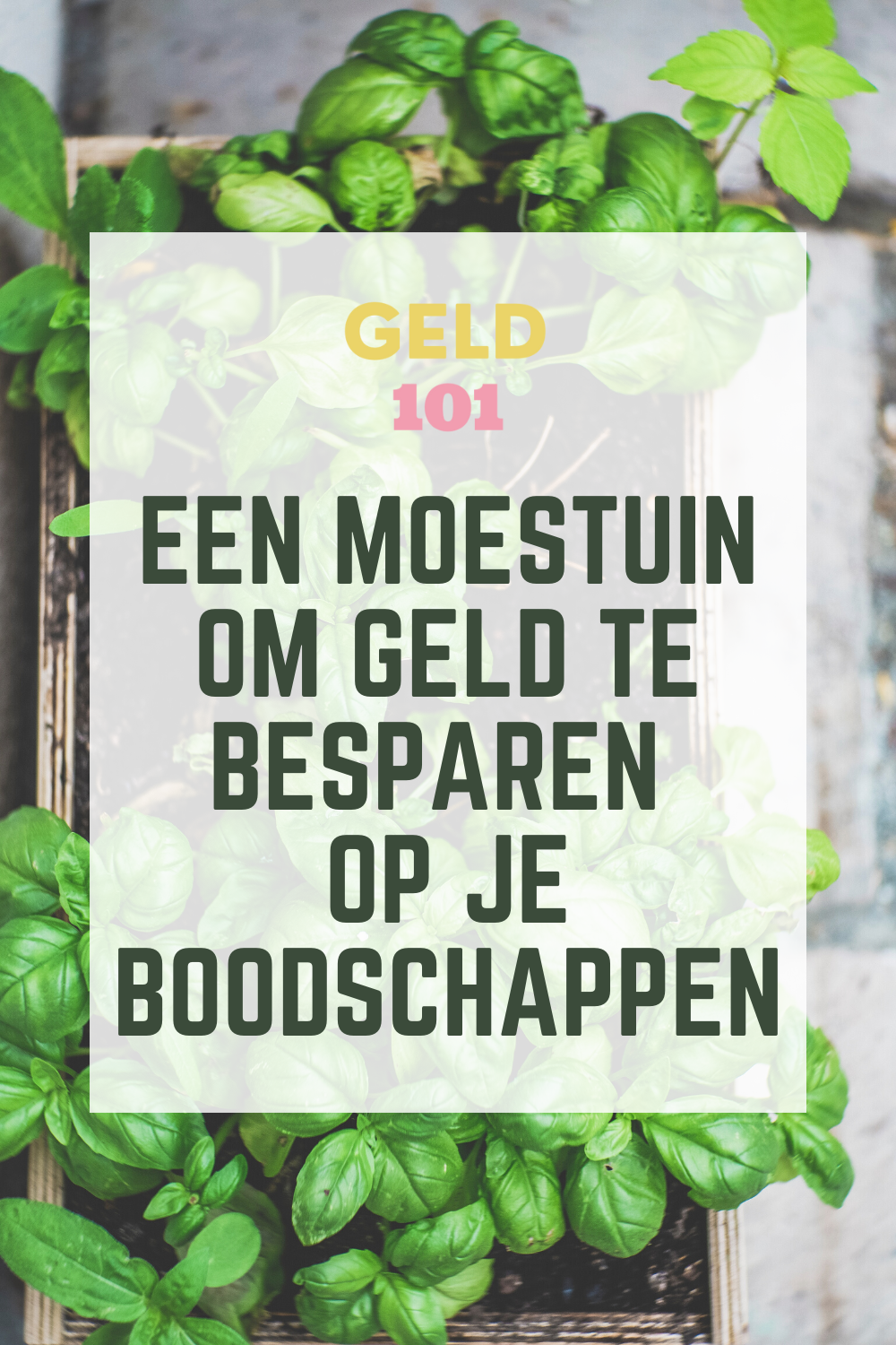 een moestuin om geld te besparen boodschappen