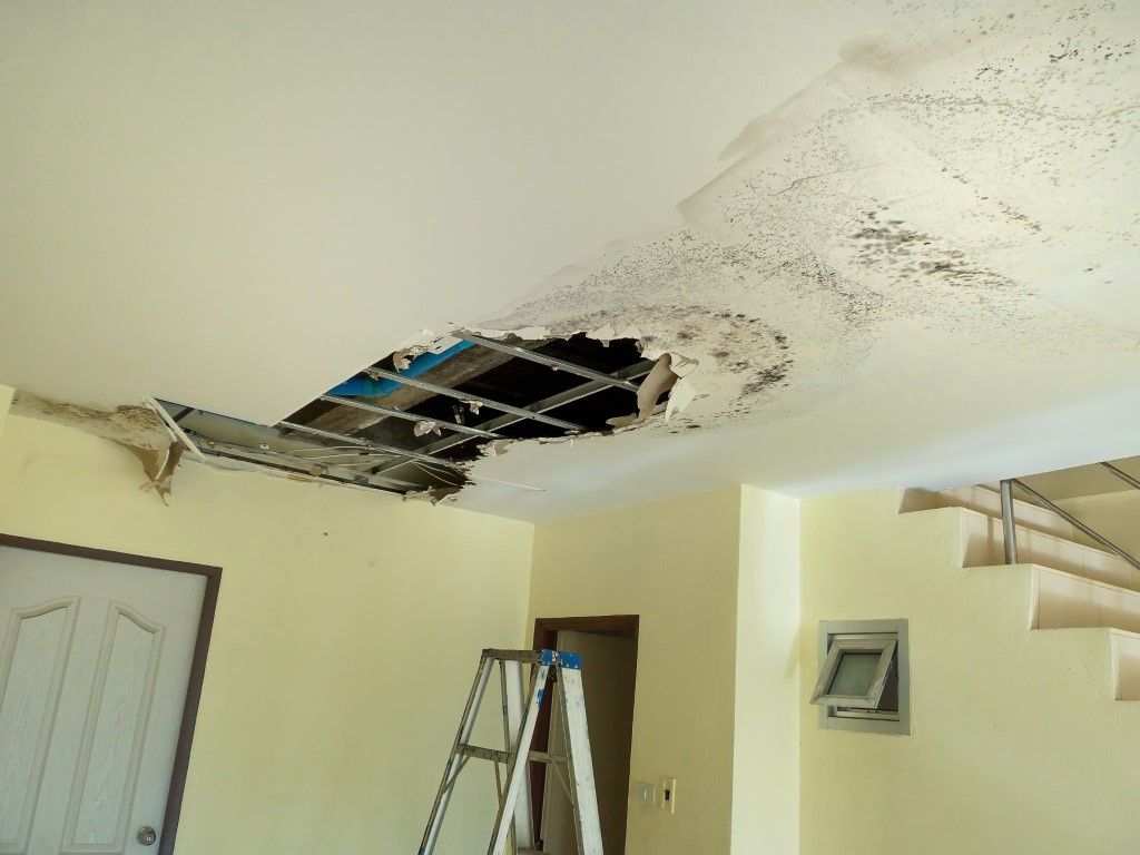 Damaged ceiling with hole, mold, and a ladder inside a building.