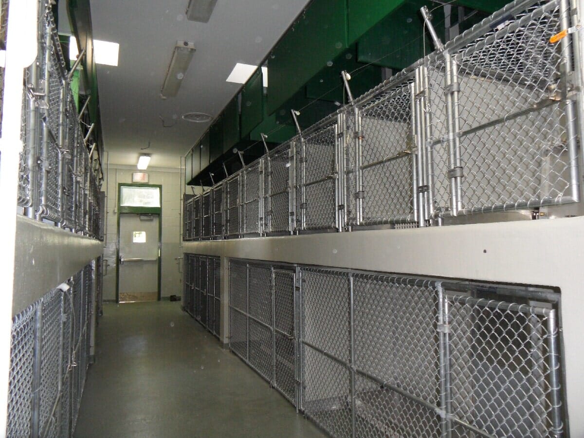 Animal Shelter — Chester, VA — ARW Contracting, Inc.