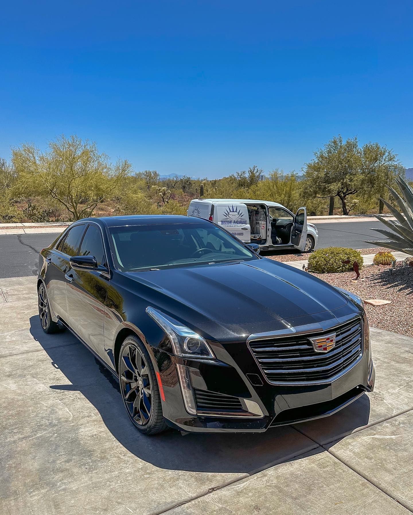 Black Car - Marana, AZ - Blue Agave Detailing
