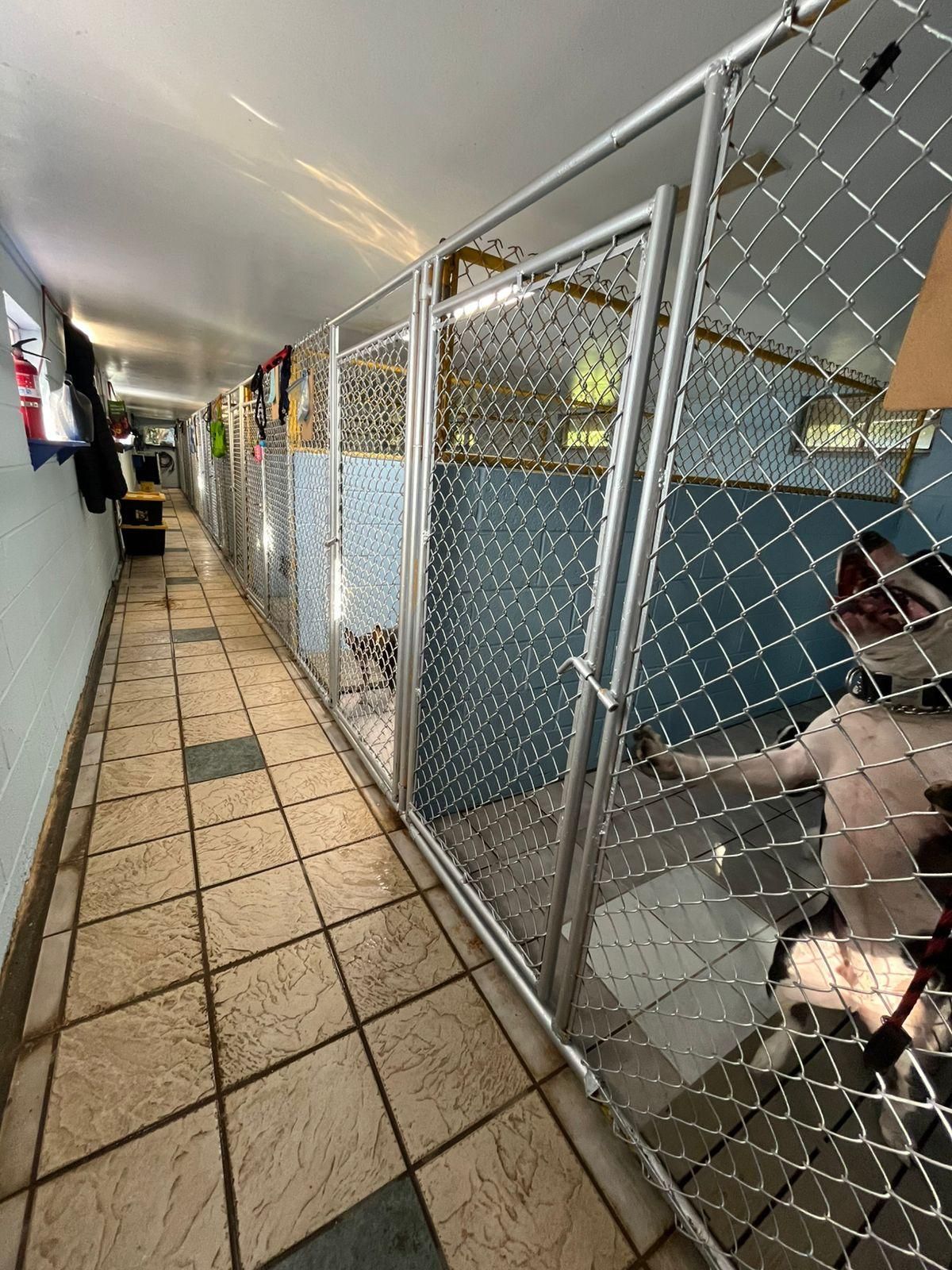Luxury Accomodations — Bihari Kennels in Nanuet, NY LUXURY QTRS— Bihari Kennels in Nanuet, NY