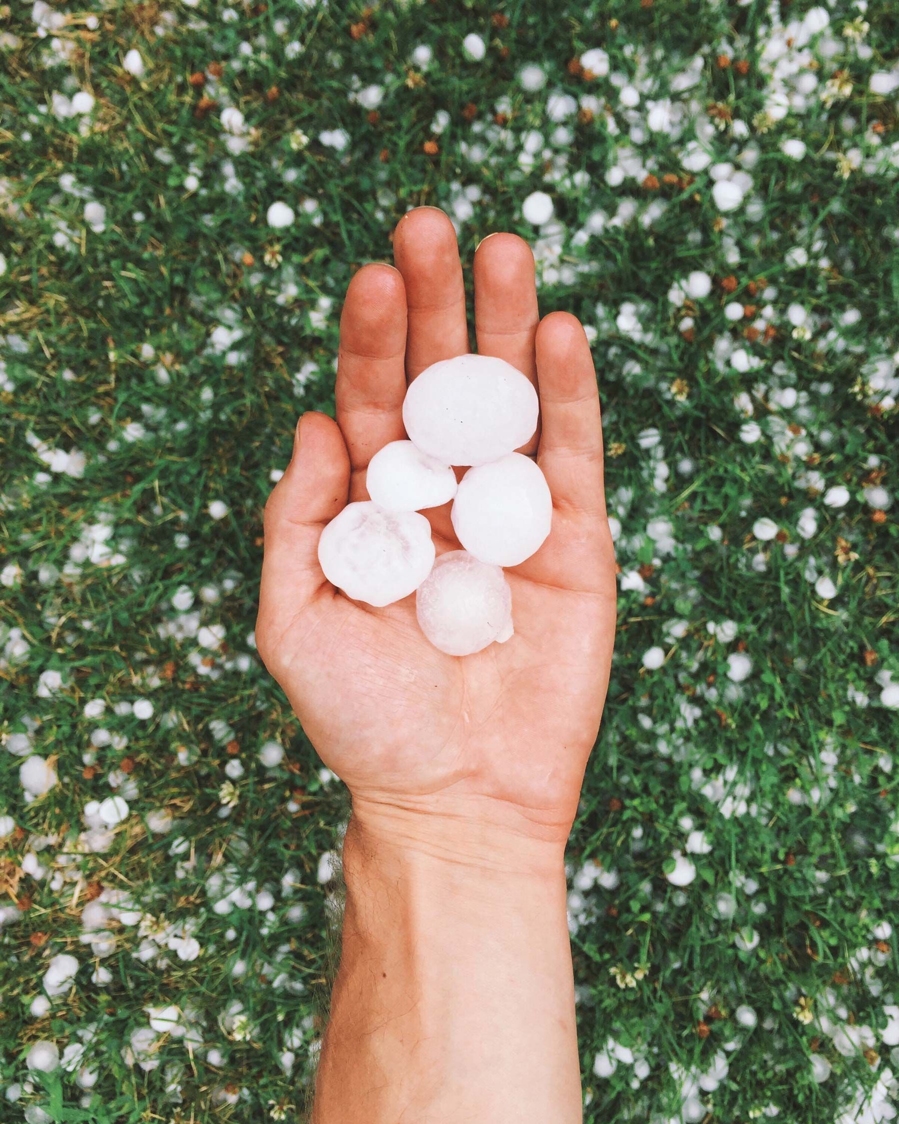 hand holding large hail