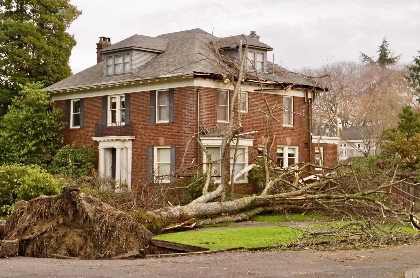 tree that fell on a house during a storm. signs you need a roof repair after a storm