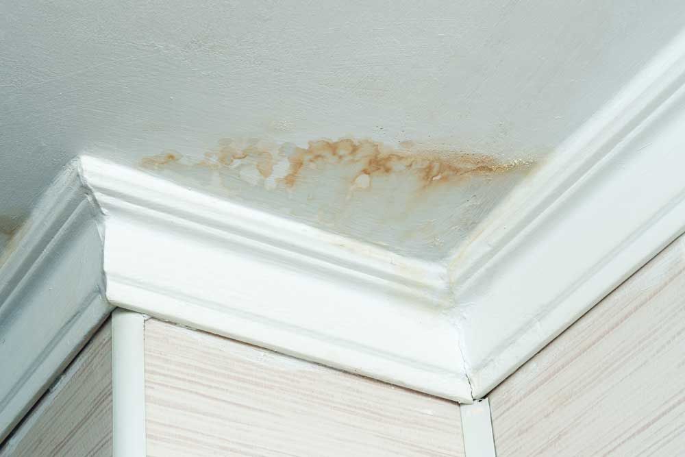 A patch of brown water damage stains the white ceiling above beige corner molding.