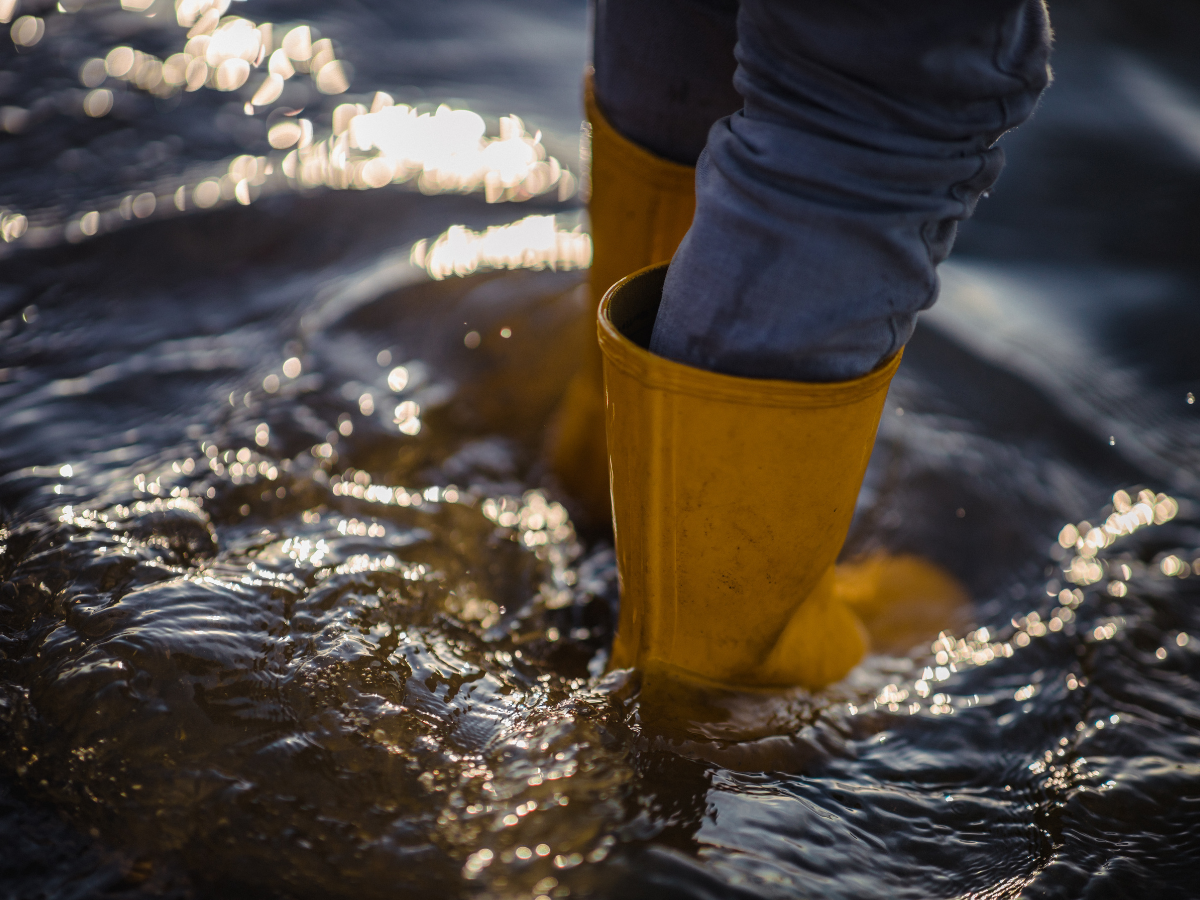 water clean up