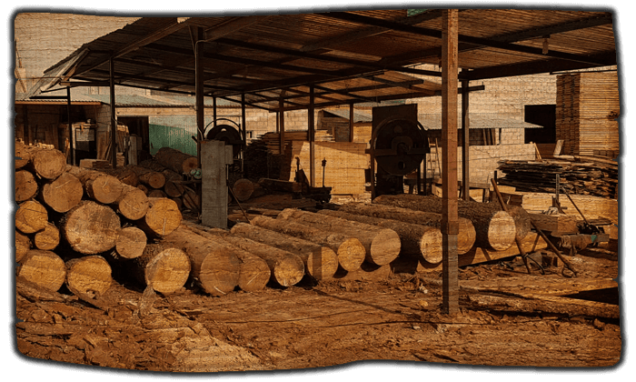 ASERRADERO FEPA - Encino Nacional