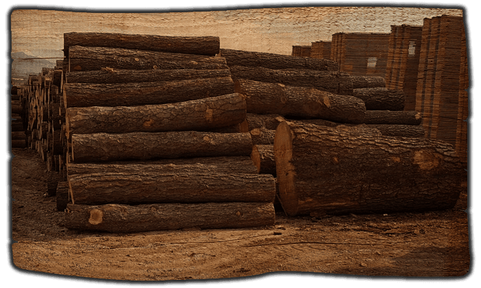 ASERRADERO FEPA - Aserradero en Vigas