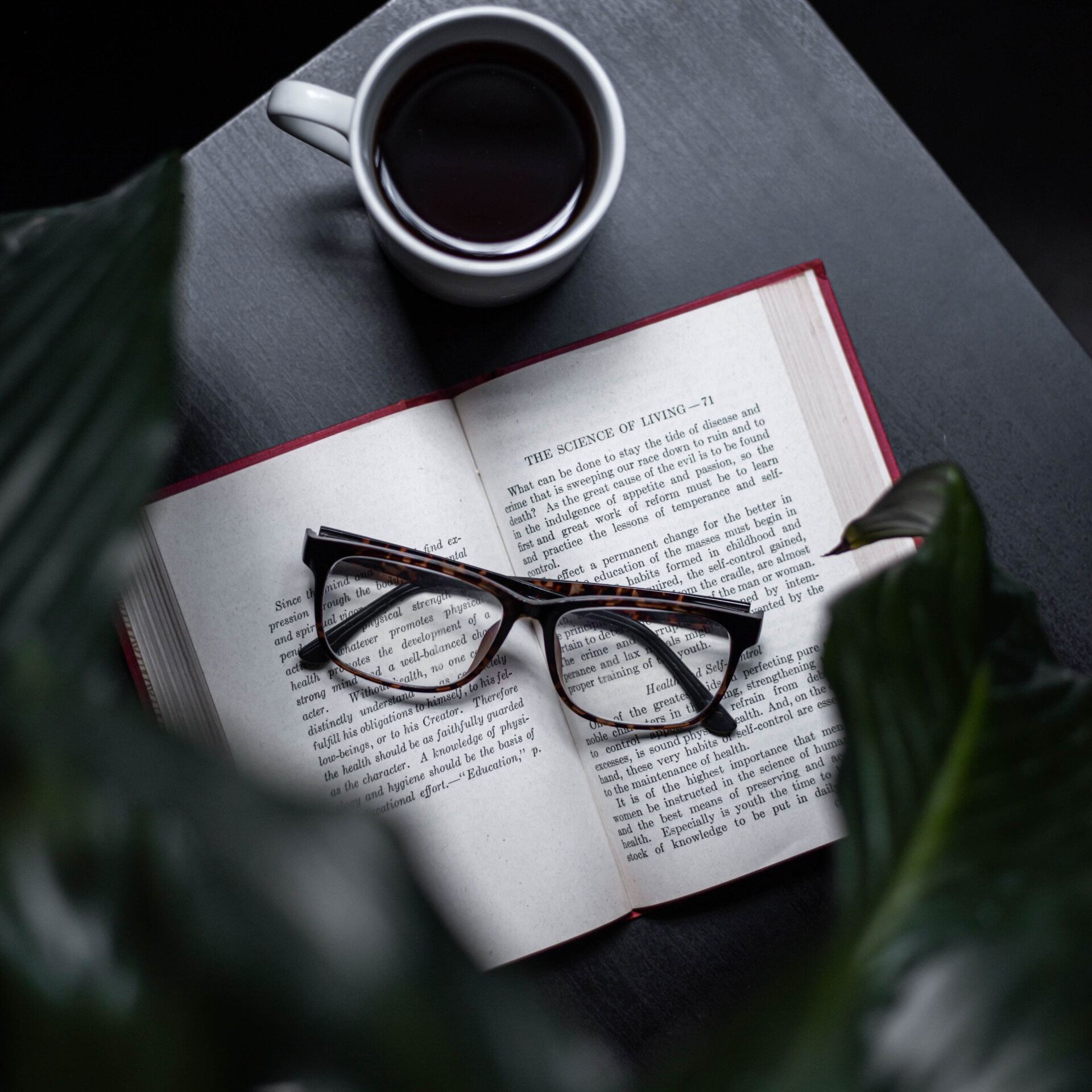 Good Reads | Starting Point Divorce Advocacy. Franklin, TN