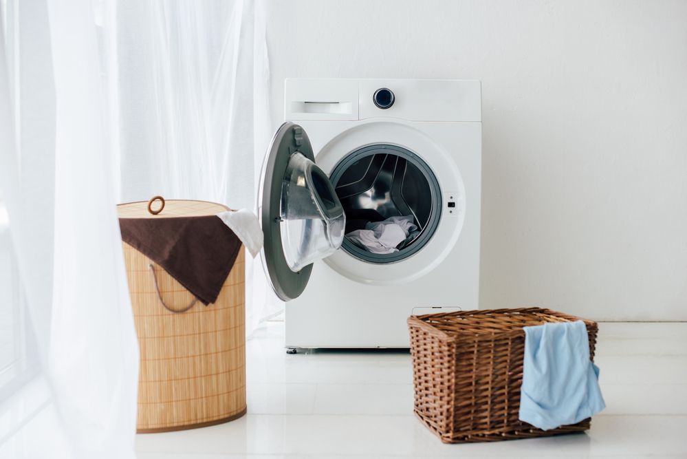 Hidden Mold in Laundry Room: Unveiling the Risks and Remedies