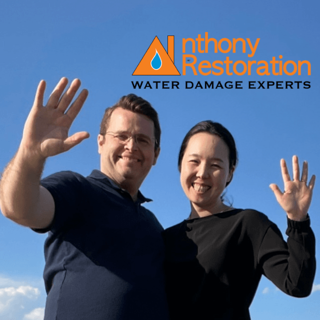 anthony water damage experts logo waving loudoun