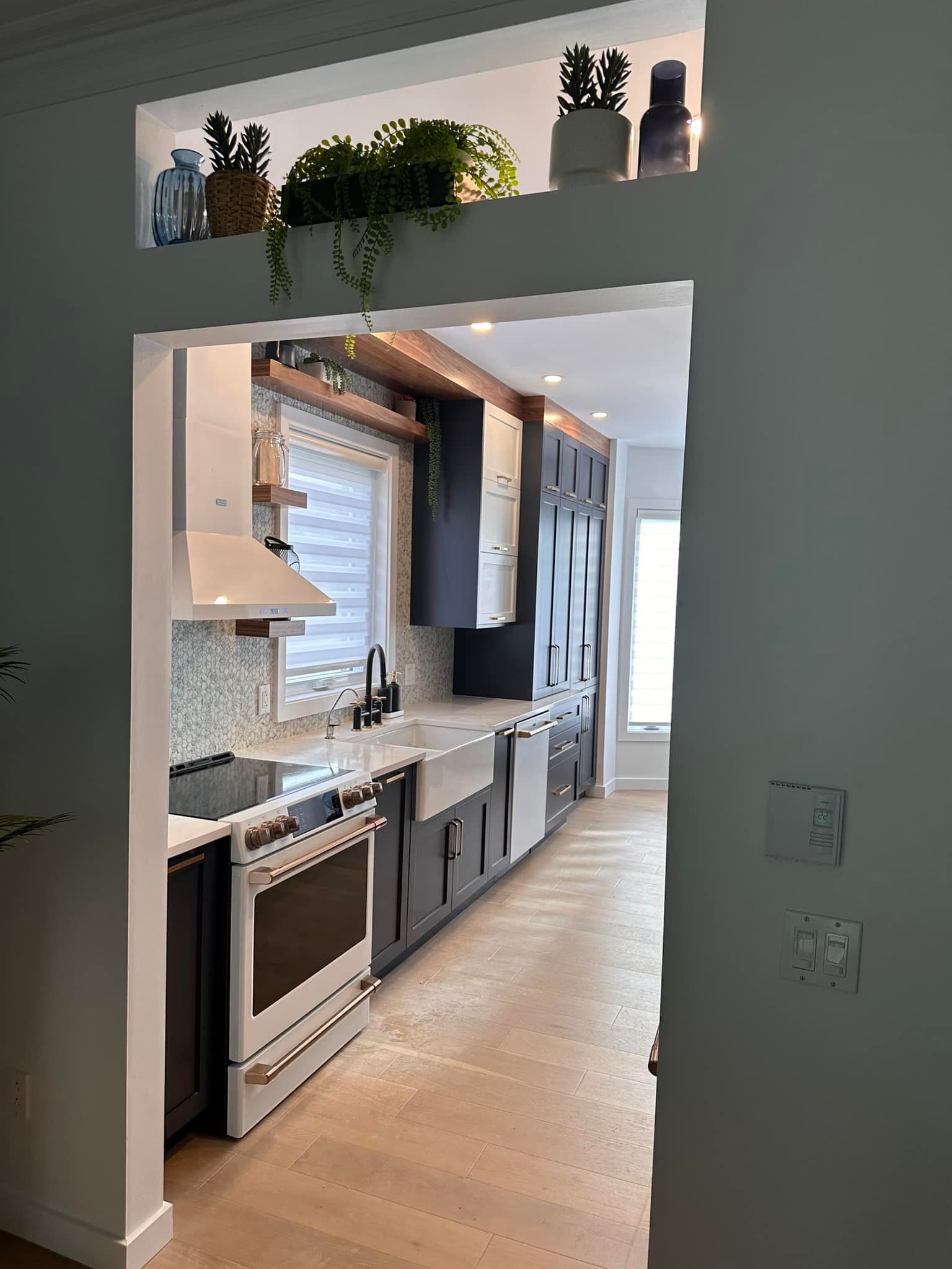 Cuisine avec placards gris foncé, hotte blanche et plantes sur une étagère.