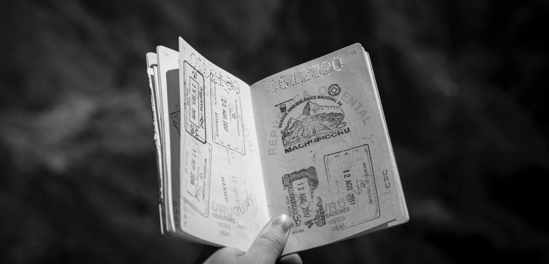 Open sketchbook held in hand, displaying pencil sketches. Blurred natural background. Black and white.