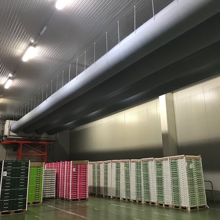 Rijen kleurrijke kratten in een koelhuis, onder lange, grijze  textiele luchtverdeelkanalen & airsocks.