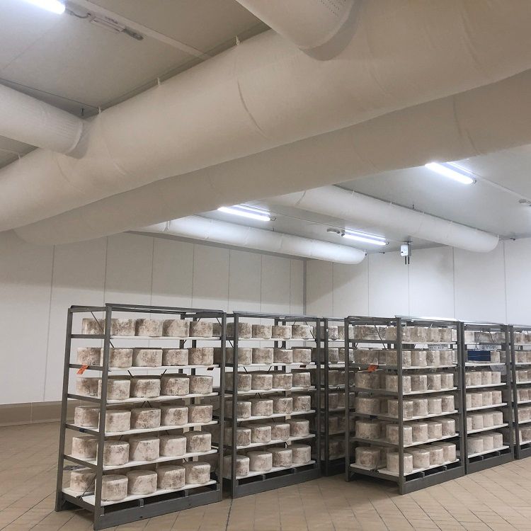 Schappen vol vierkante kaasblokken in een temperatuurgecontroleerde ruimte met textiele airsocks & ventilatieslangen en tl-verlichting.