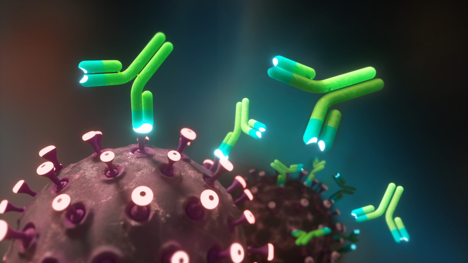 Corona Virus and Monoclonal Antibodies