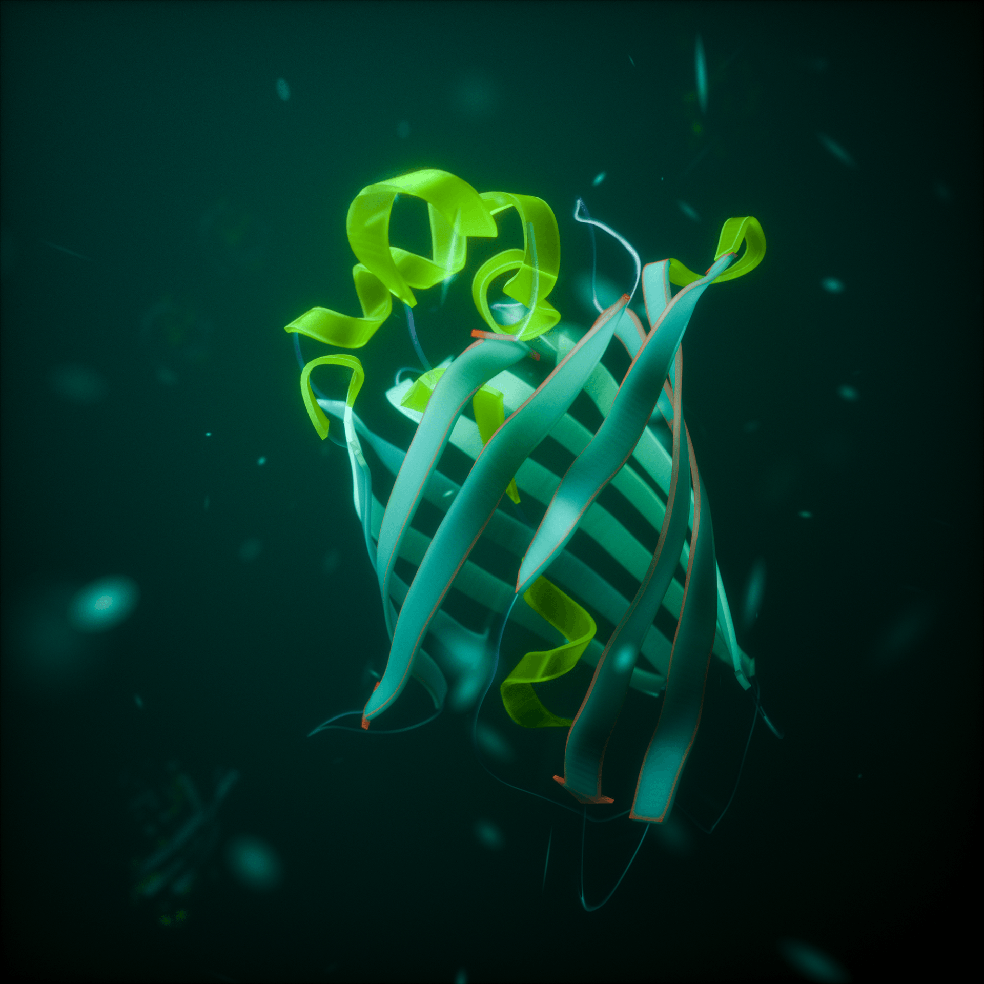 Green Flourescent Protein (GFP)