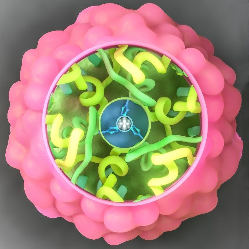 Multiscale Modelling, Insulin, showing zinc atom at the centre