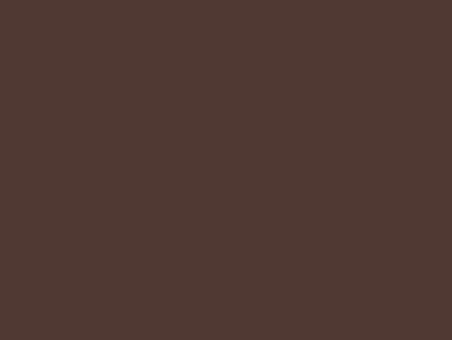 Solid dark brown blank background