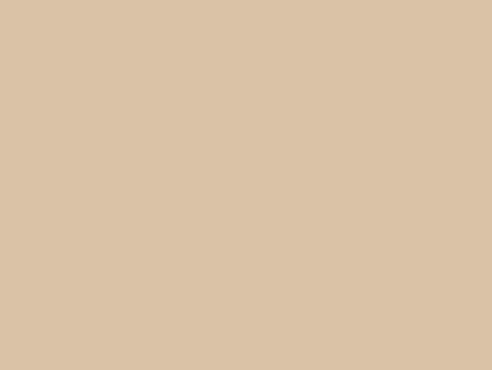 Solid tan/beige background with no visible objects or text