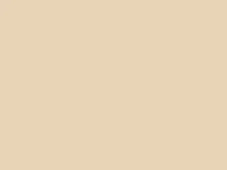 Solid beige background with no visible objects or text