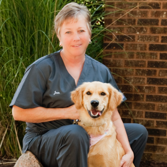 Meet the Team Furever Family Veterinary Care Center