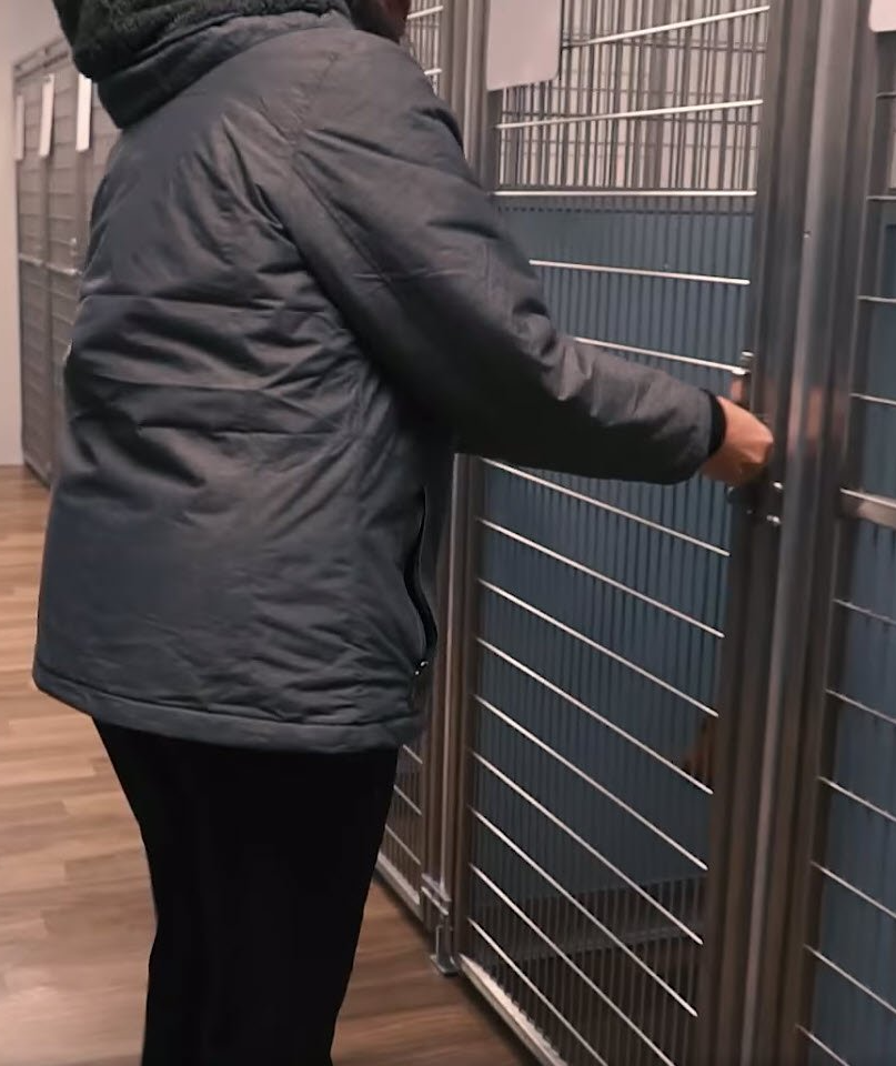 Pet Boarding in Jacksonville Normandy Animal Hospital