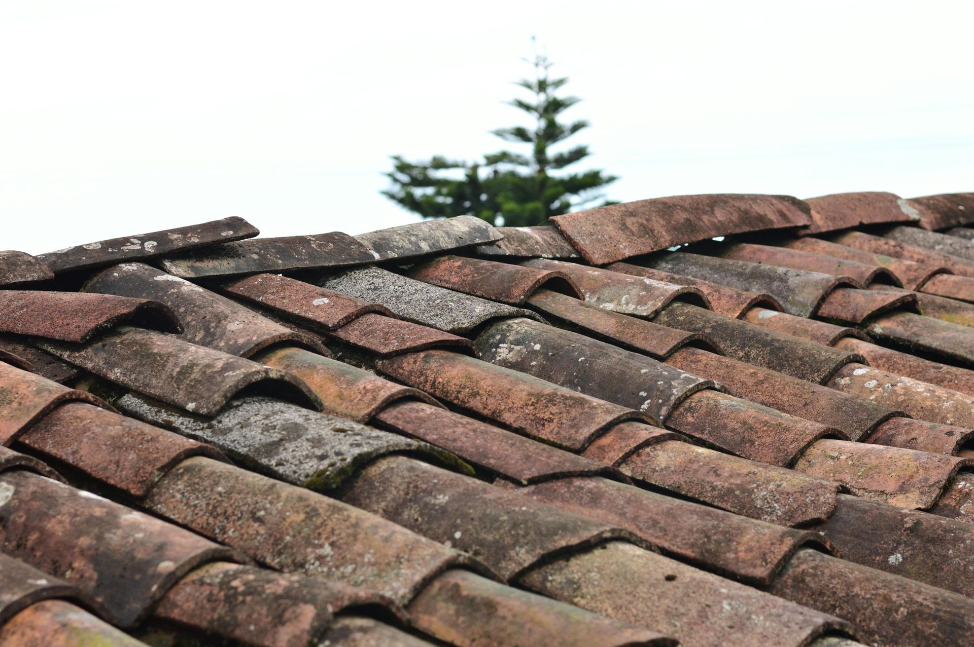 commercial and residential roofing