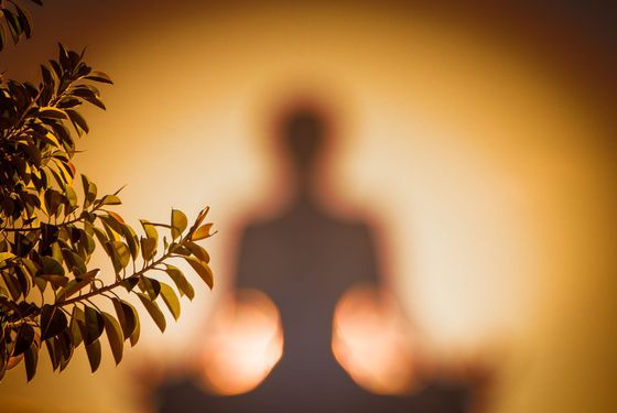 Silhouetted person meditating by warm candlelight, with leafy branches in the foreground
