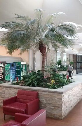 Indoor mall atrium with a large palm tree in a planter and red lounge chairs in the foreground