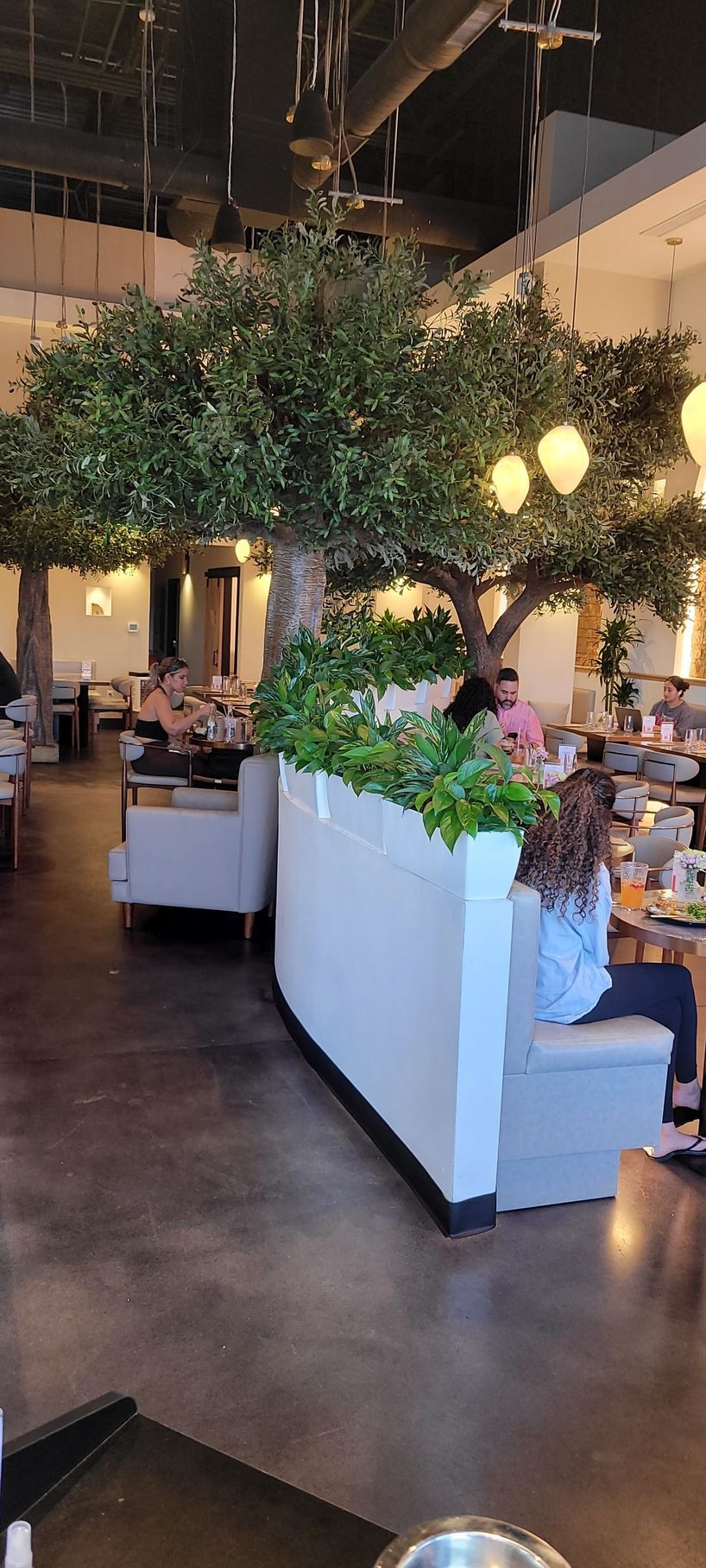 Modern restaurant interior with trees, white planters, warm hanging lights, and seated diners