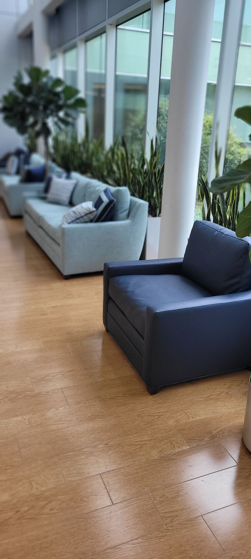 Modern lounge with navy and gray sofas, potted plants, and large windows overlooking a bright wooden floor.