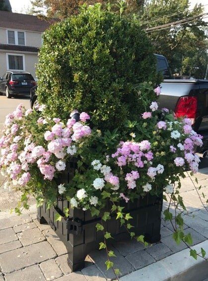 Large planter overflowing with pink flowers and green foliage on a paved driveway