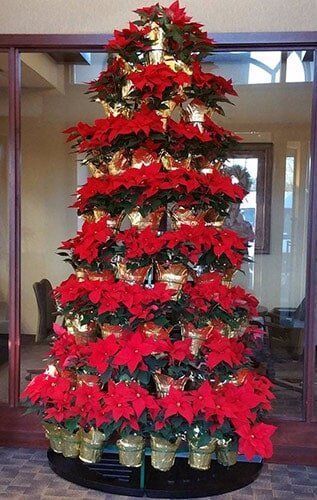 Tall poinsettia Christmas tree with red flowers in front of glass doors