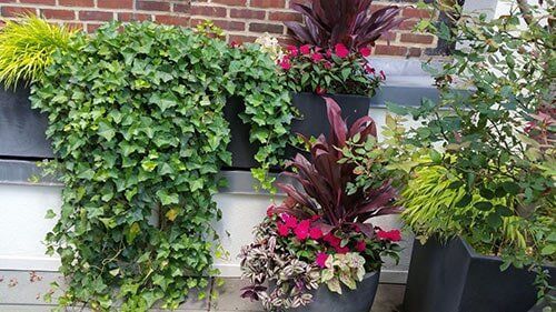 Two wall planters with lush green and burgundy foliage against a brick and white wall.
